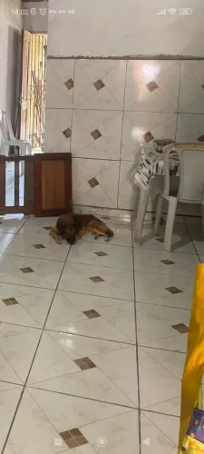 casa em Ananindeua