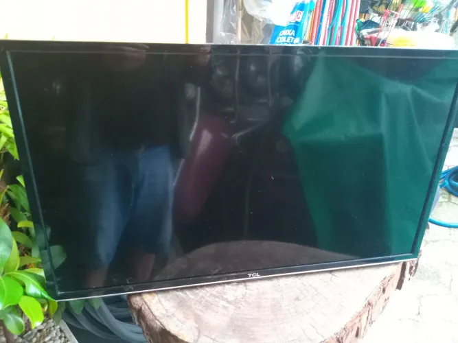 Televisão