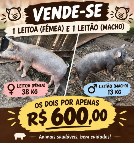 PV SÓ PARA REAIS INTERESSADOS (PADRE NOBREGA)