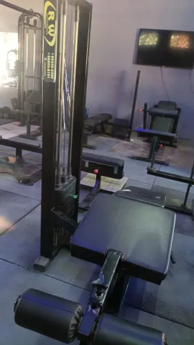 mesa flexora