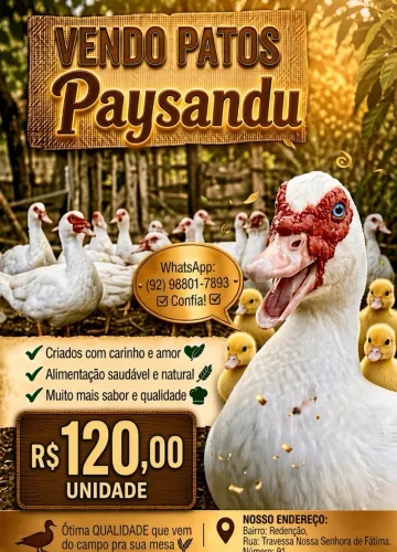 Patos Paysandu
