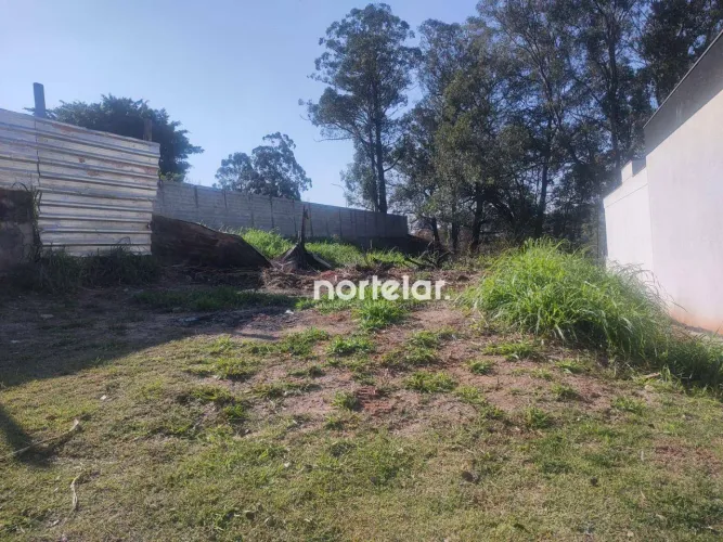 Terreno à venda, 600 m² por R$ 1.500.000,01 - Vila Pirituba - São Paulo/SP