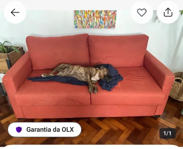 Sofá seminovo e de luxo