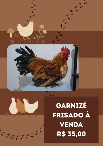 Garnizé frizado