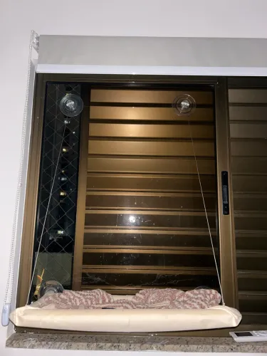 caminha para gato