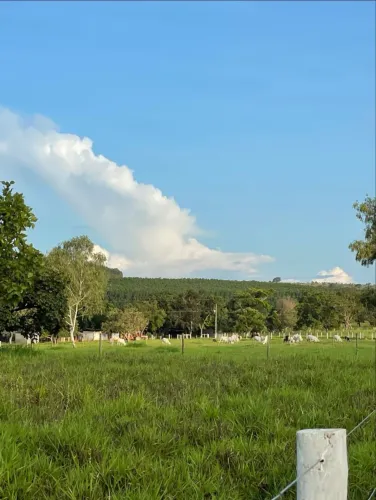 Vendo Fazenda na região de Curvelo