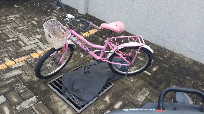 Bicicleta