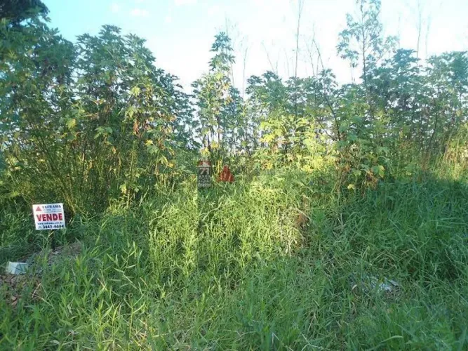 Terreno Padrão em Pindamonhangaba