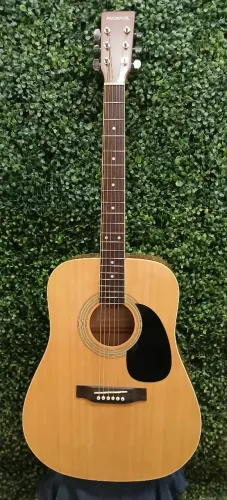 Víolão Folk Phoenix W-160 EQ Elétroacustico 