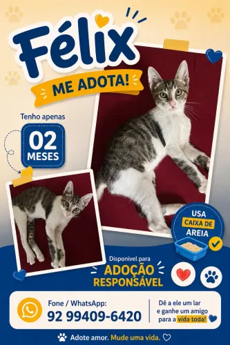 Adoção responsável 