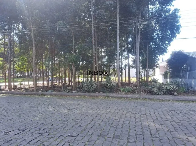 Inbox imobiliária vende terreno de 15x30 no bairro Universitário