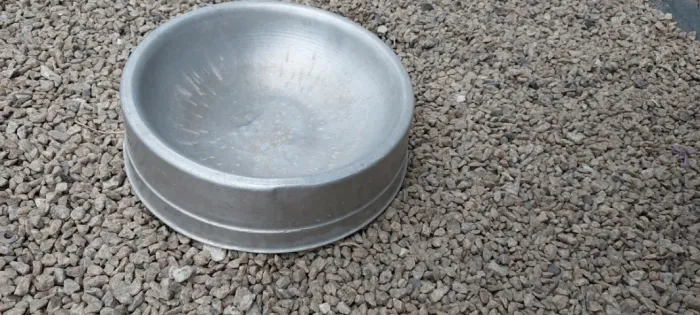 Comedouro bebedouro tigela cão cachorro de alumínio pesado polido.