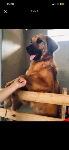 Doação