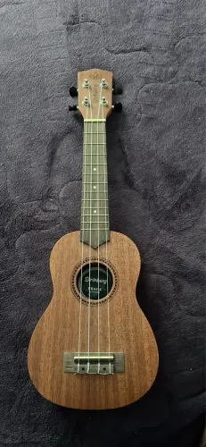 Vendo Ukulele StrinBerg