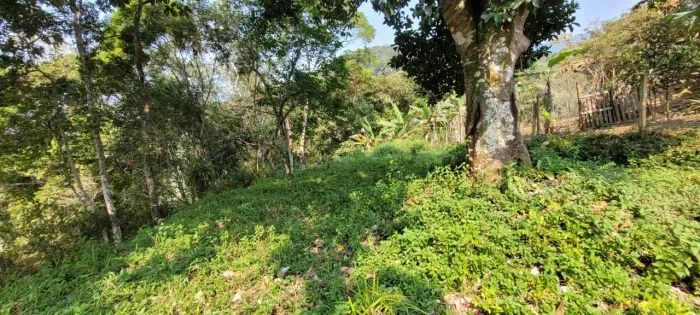 Terreno Disponível Morretes