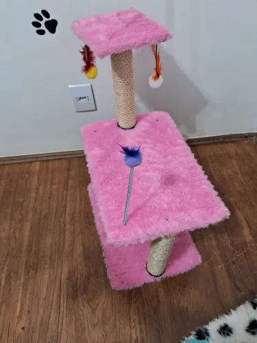 Arranhadores para gatos