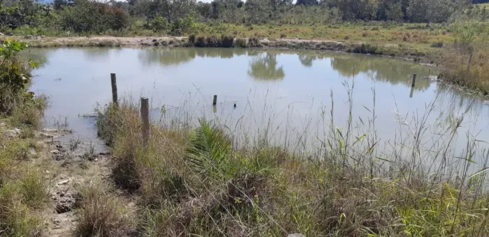 Fazenda 49 alqueires, boa forma, excelente infra em Crixás-GO