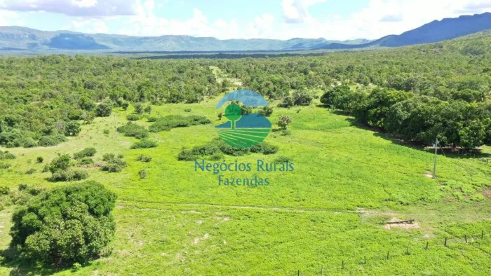 fazenda 710 Alqueires ou 3.436 hectares Paranã - TO. Terra Bruta.