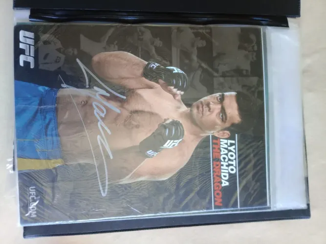 Poster de Lutadores UFC Autografado
