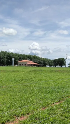 Neves Paulista: Sitio Excelente oportunidade para investidores e incorporadores