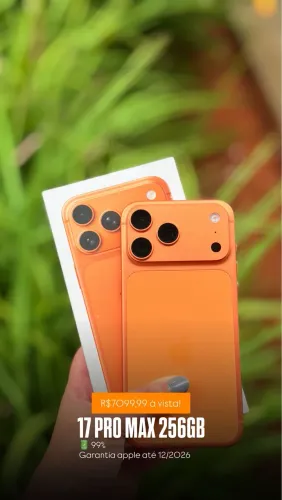 17 pro max 256GB