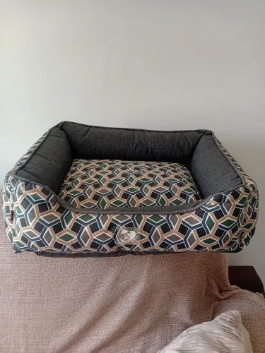 Caminha pra cachorros, nova,sem uso,comprada na Hobby Bichos da Epitacio Pessoa. 