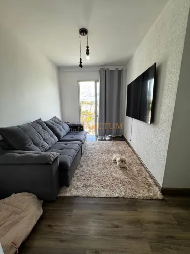 apartamento - Jardim dos Oliveiras - Campinas