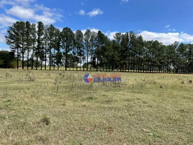 Chácara com 3 dormitórios para alugar, 21000 m² por R$ 12.000,00/mês - Zona Rural - São Jo
