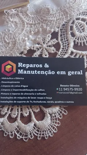 Marido de aluguel ,