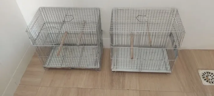 Gaiolas 