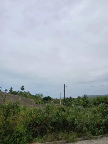 Tereno no pontal de coruripe 