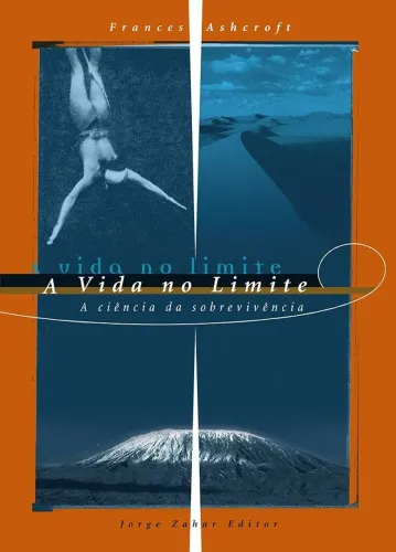 A Vida no Limite