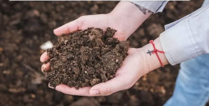 Adubo orgânico R$125  a tonelada