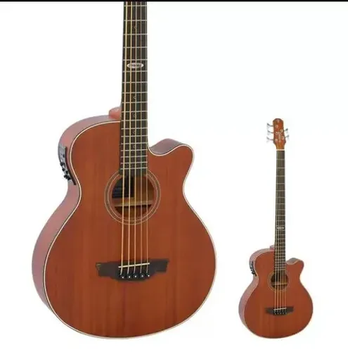 Baixolão 5 Cordas Strinberg Sb250C Elétrico