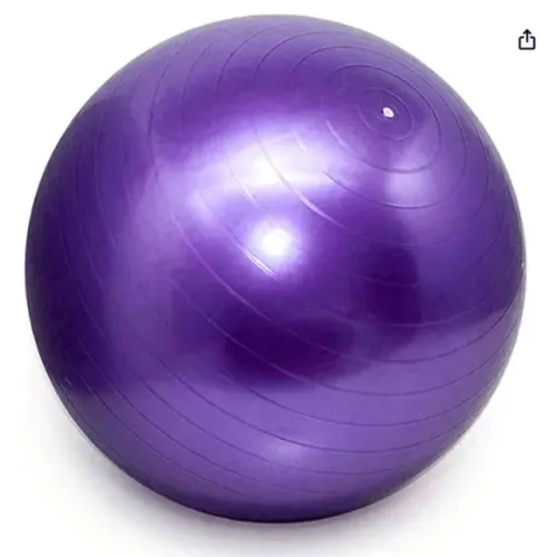 Bola Para Exercicio Suiça De Pilates 55cm Ft3 123util23