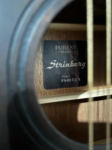 Violão Strinberg Forest