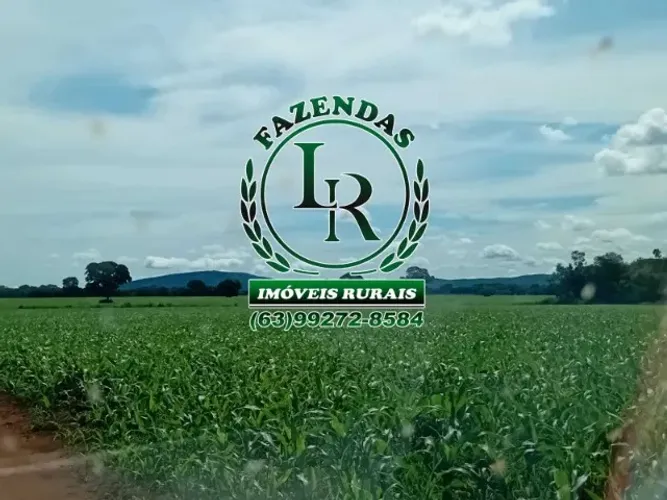 Fazenda 180 Alqueires Plantando Soja .