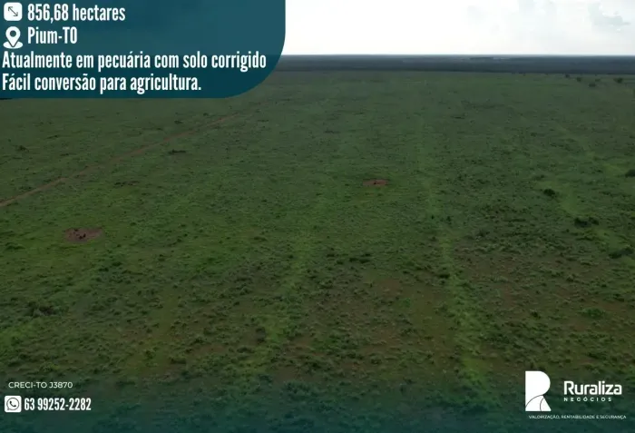 Pium TO, atualmente em pecuária com solo corrigido, fácil conversão para agricultura.