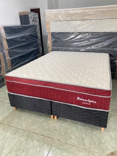 Cama Box Queen Eucalipto Vinho Molas Ensacadas