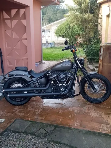 Harley Street Bob 2018