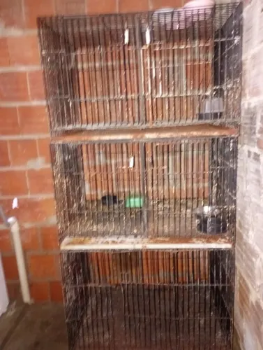 Vendo canil pra pet shop