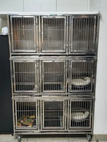 Canil veterinário
