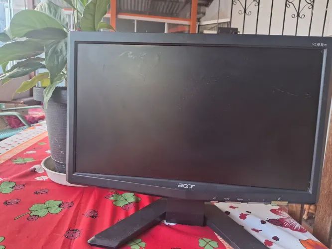 Monitor Acer X163W