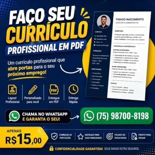 currículo profissional em pdf
