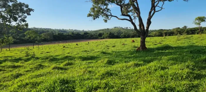 Lote/Terrenos em região privilegiada de São Gonçalo do Pará/MG