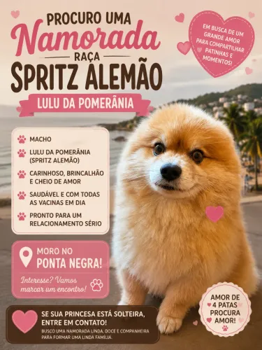 Namorada spritz