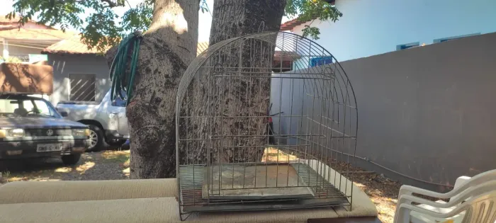 Gaiola para papagaio 