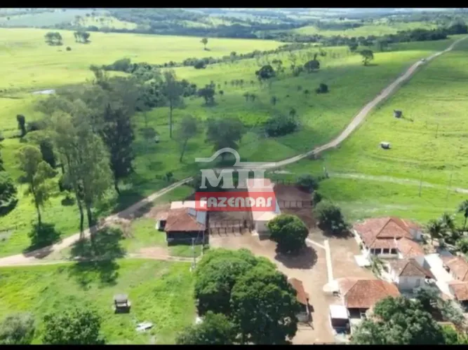 Fazendas 105 alqueires (508,2 hectares) Morrinhos - GO