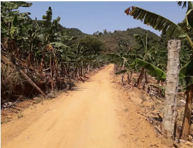 VENDO TERRENO NO DISTRITO DE MANGARAI NA REGIÃO DE SANTA LEOPODINA