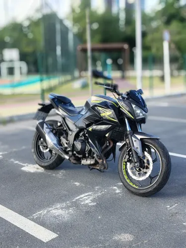 Kawasaki Z300 2018